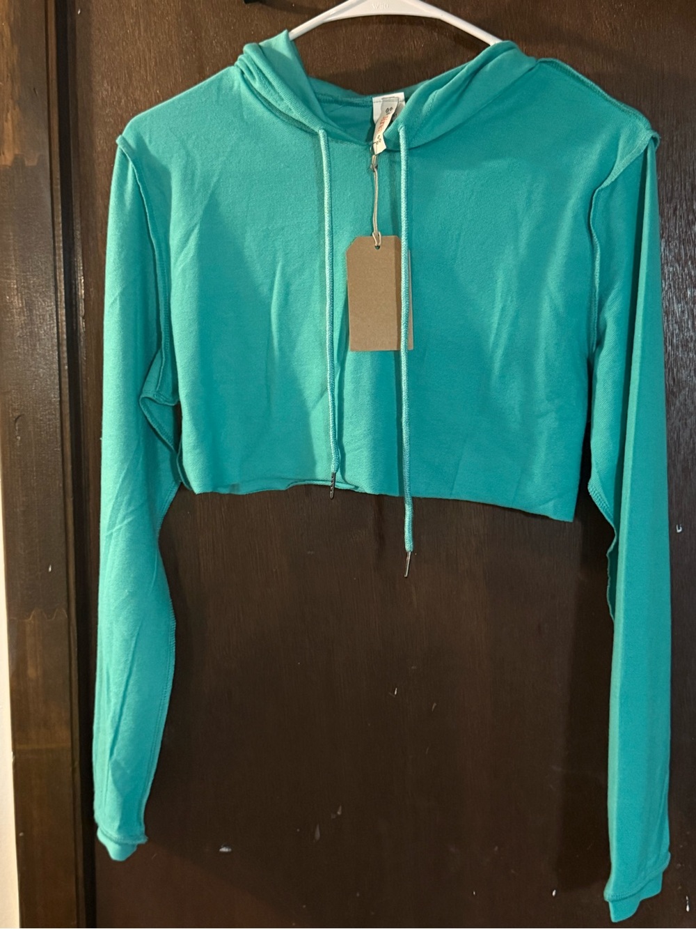 Cropped Hooded Long-Sleeve Top in Teal